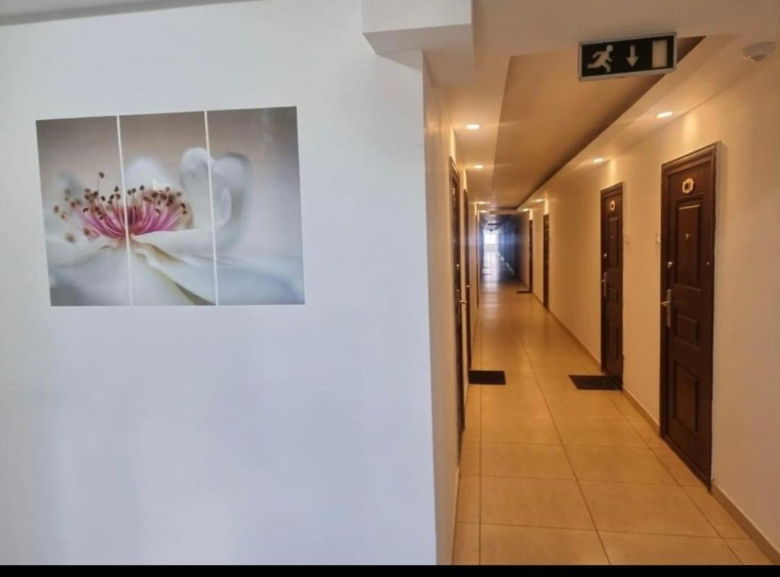 Apartament Gul Mona Saturn Exterior photo